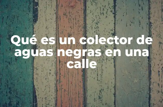 Qué es un Colector de Aguas Negras en una Calle