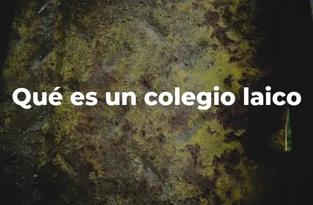 Qué es un Colegio Laico