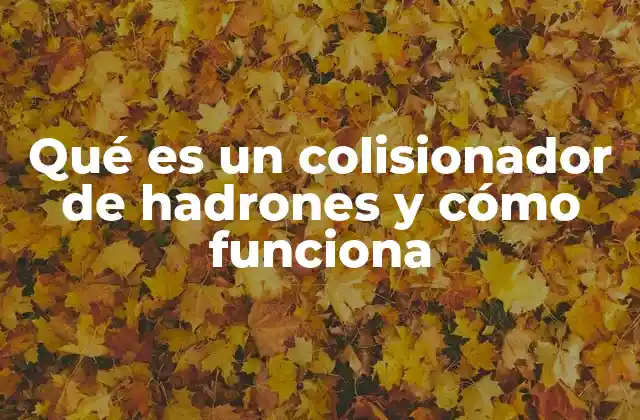 Qué es un Colisionador de Hadrones y Cómo Funciona