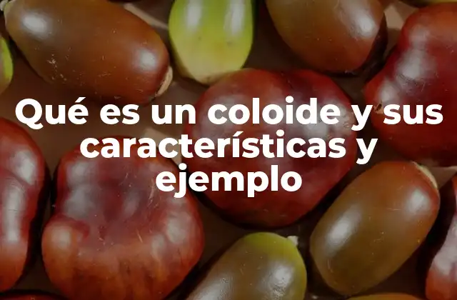 Qué es un Coloide y Sus Características y Ejemplo