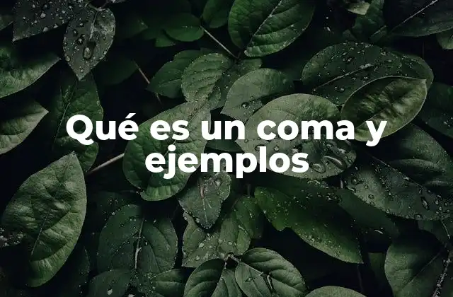La coma como herramienta de claridad y estructura