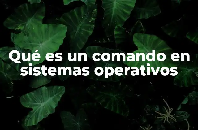 Qué es un Comando en Sistemas Operativos
