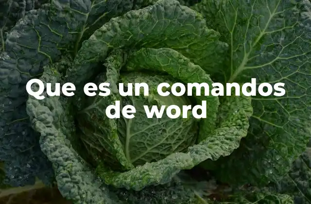 Que es un Comandos de Word