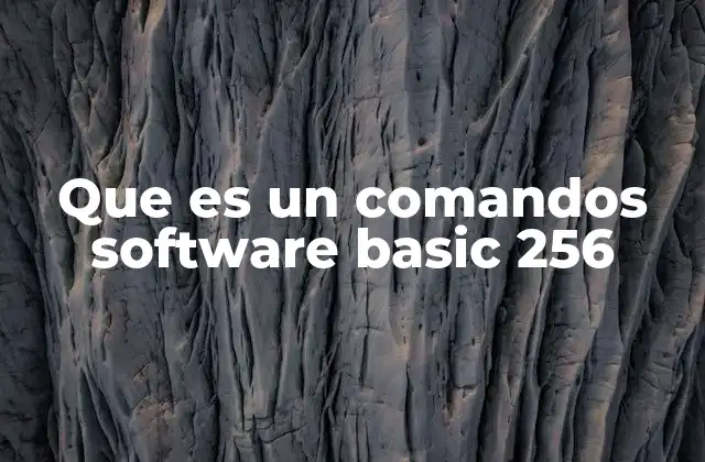 Que es un Comandos Software Basic 256