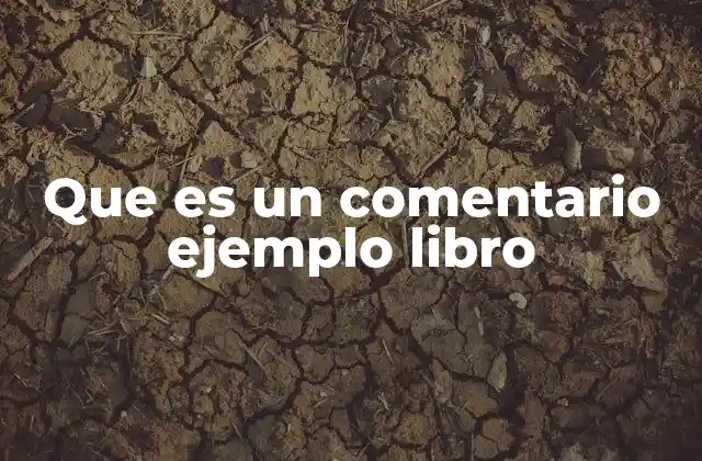 Que es un Comentario Ejemplo Libro