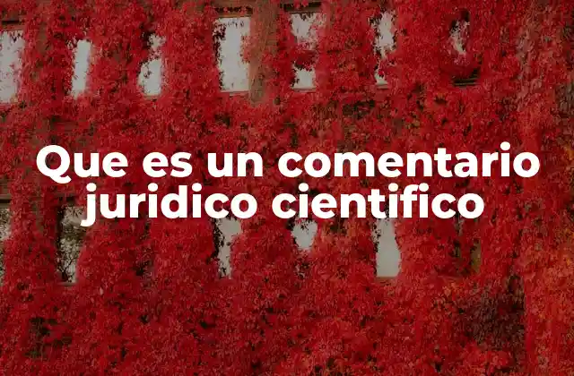 Que es un Comentario Juridico Cientifico