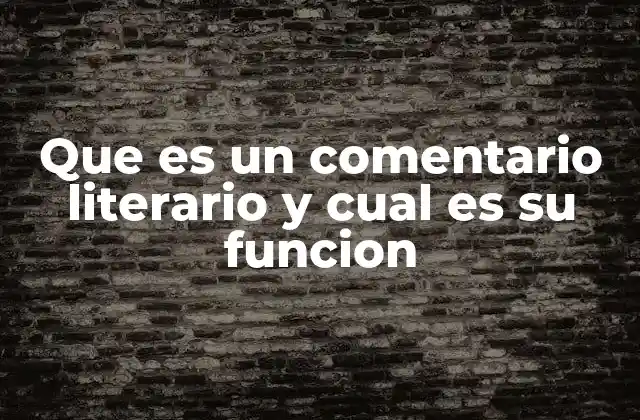 Que es un Comentario Literario y Cual es Su Funcion