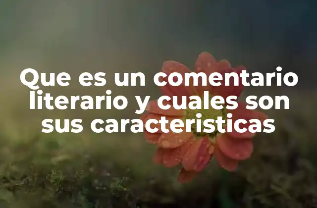 Que es un Comentario Literario y Cuales Son Sus Caracteristicas