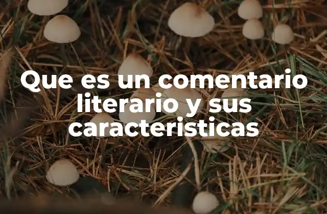 Que es un Comentario Literario y Sus Caracteristicas