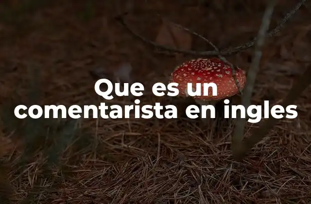 Que es un Comentarista en Ingles