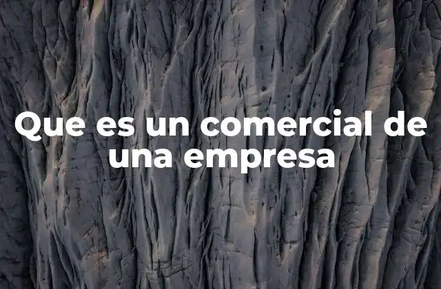 Que es un Comercial de una Empresa
