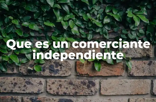 Que es un Comerciante Independiente