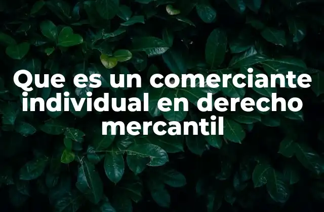 Que es un Comerciante Individual en Derecho Mercantil