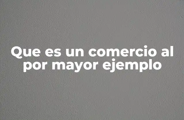 Que es un Comercio Al por Mayor Ejemplo