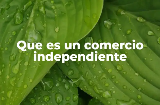 Que es un Comercio Independiente