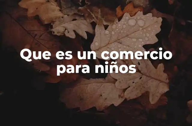 Que es un Comercio para Niños