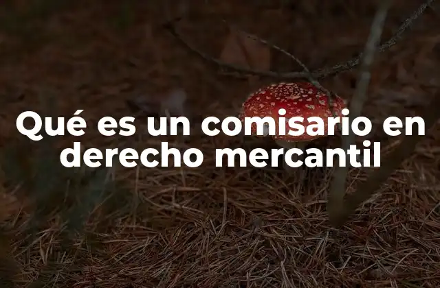 Qué es un Comisario en Derecho Mercantil