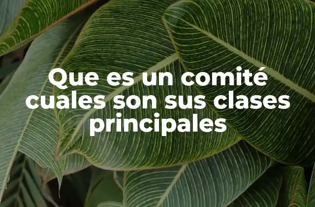 Que es un Comité Cuales Son Sus Clases Principales