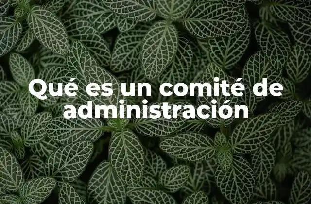 Qué es un Comité de Administración