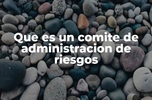 Que es un Comite de Administracion de Riesgos