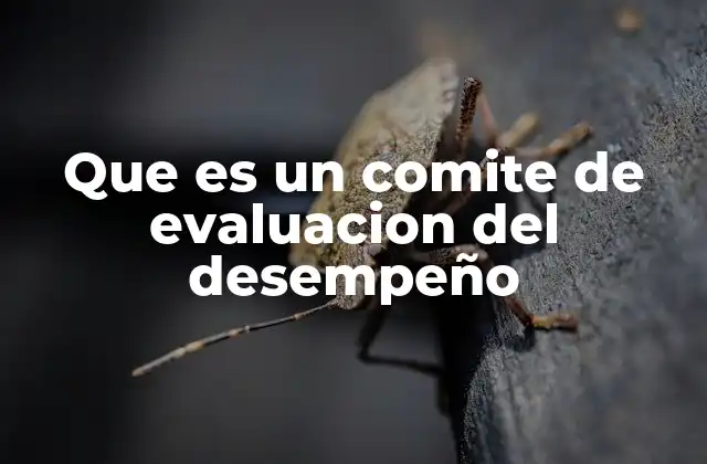 Que es un Comite de Evaluacion Del Desempeño