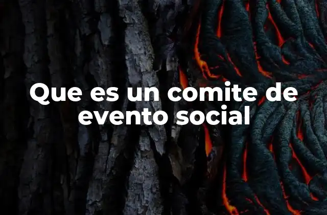 Que es un Comite de Evento Social