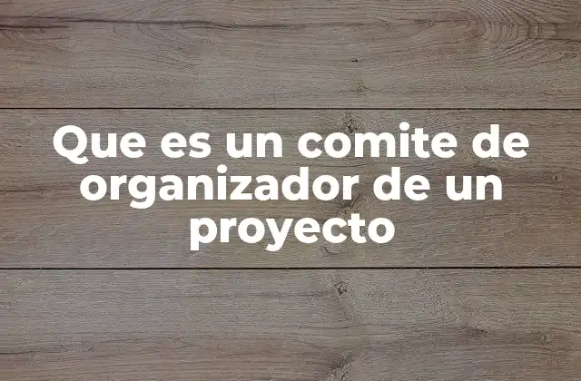 Que es un Comite de Organizador de un Proyecto