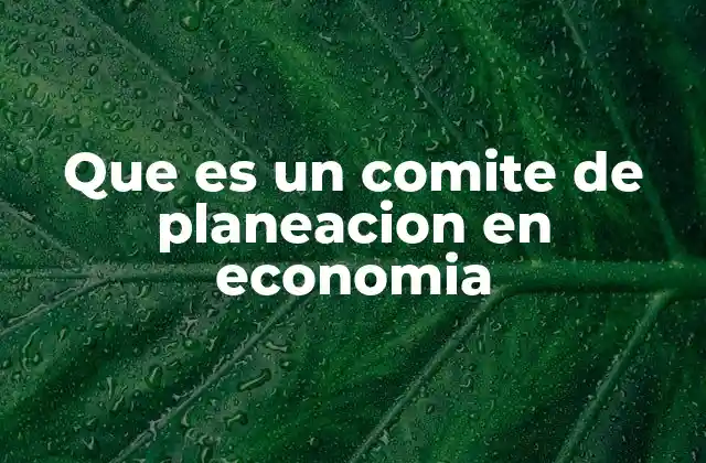 El papel del comité de planeación en el desarrollo económico nacional