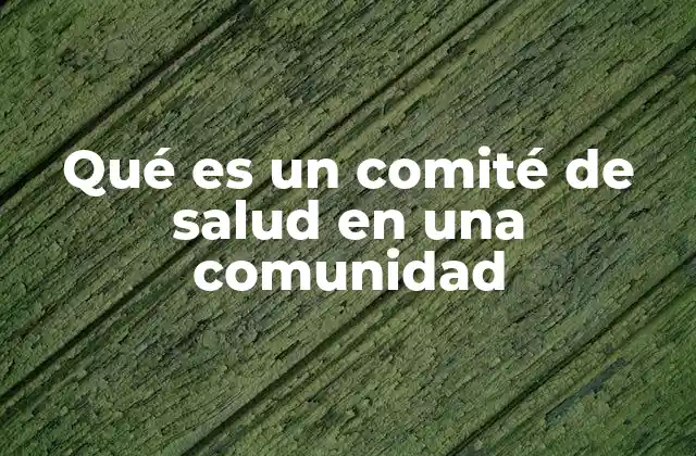 Qué es un Comité de Salud en una Comunidad