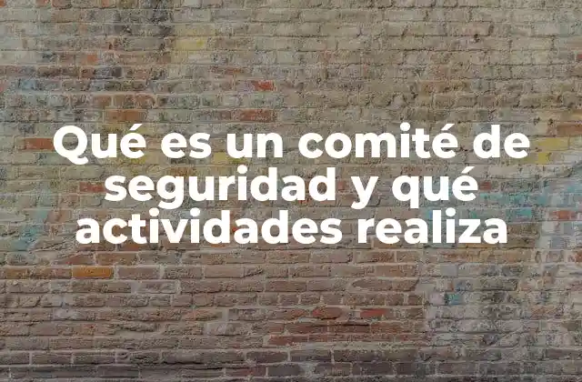 Qué es un Comité de Seguridad y Qué Actividades Realiza