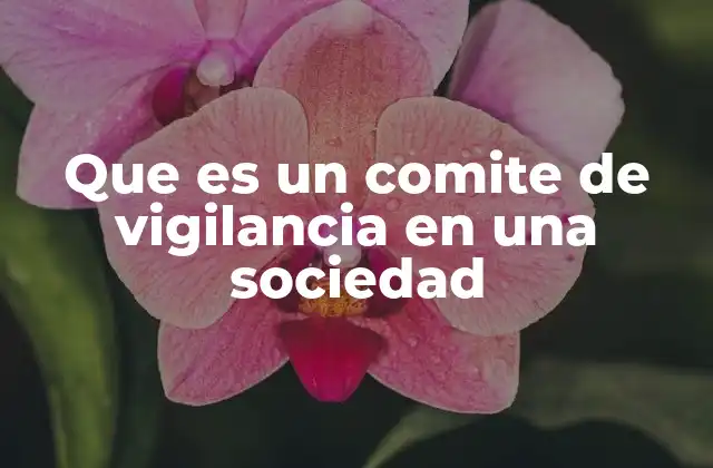Que es un Comite de Vigilancia en una Sociedad