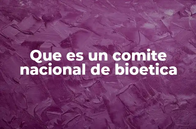 Que es un Comite Nacional de Bioetica 2 El rol de los comités nacionales en la toma de decisiones éticas