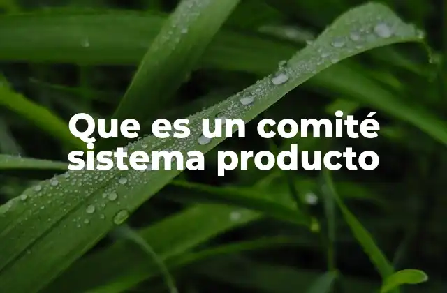 Que es un Comité Sistema Producto 2 El papel del comité sistema producto en la gestión de proyectos tecnológicos