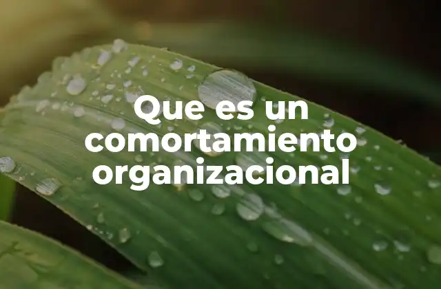 Que es un Comortamiento Organizacional