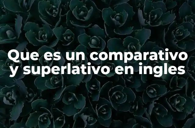 Que es un Comparativo y Superlativo en Ingles