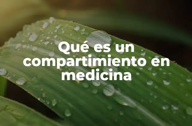 Qué es un Compartimiento en Medicina