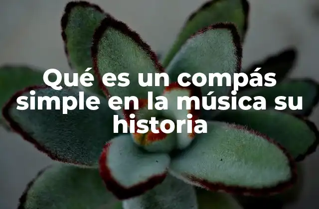 Qué es un Compás Simple en la Música Su Historia