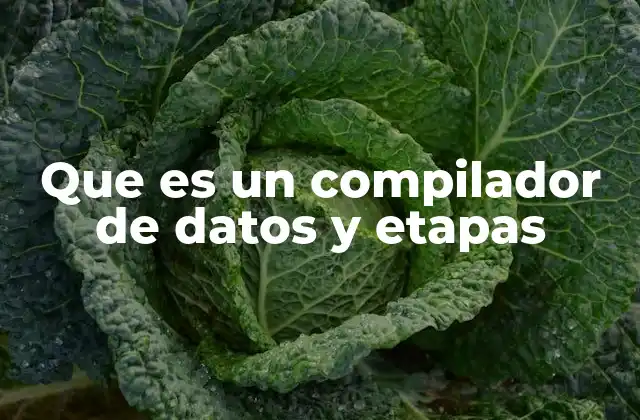 Que es un Compilador de Datos y Etapas