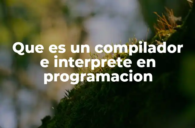 Que es un Compilador e Interprete en Programacion