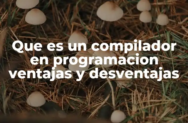 Que es un Compilador en Programacion Ventajas y Desventajas