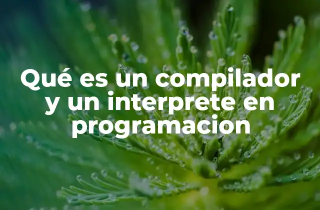 Qué es un Compilador y un Interprete en Programacion