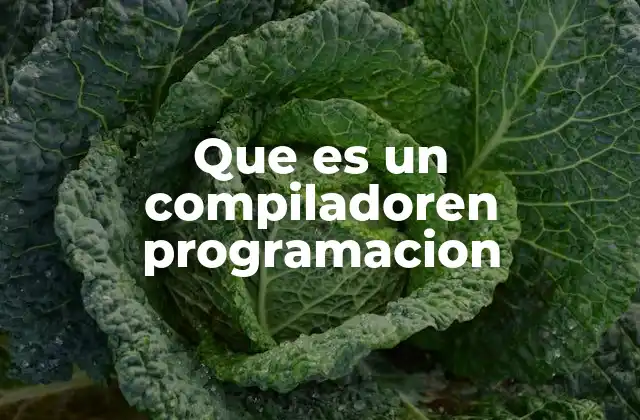 Que es un Compiladoren Programacion