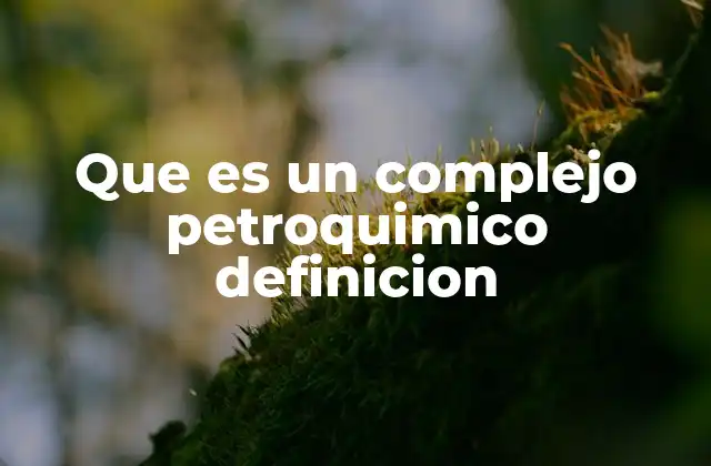 Que es un Complejo Petroquimico Definicion