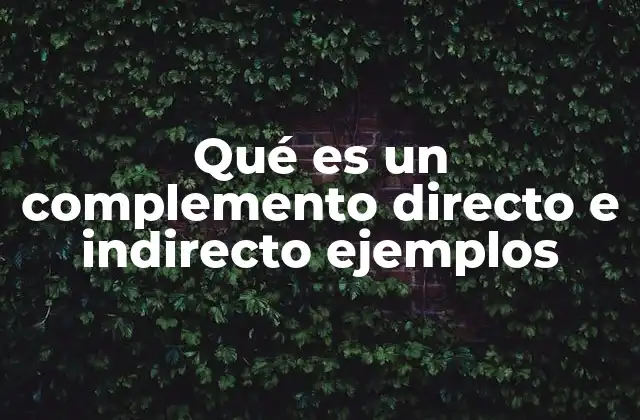 Qué es un Complemento Directo e Indirecto Ejemplos
