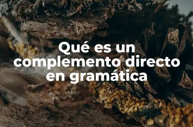 Qué es un Complemento Directo en Gramática