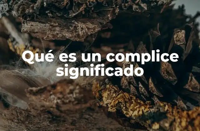 Qué es un Complice Significado