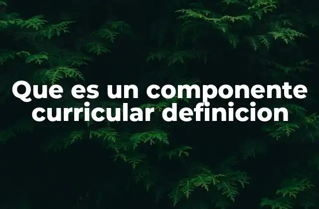 Que es un Componente Curricular Definicion