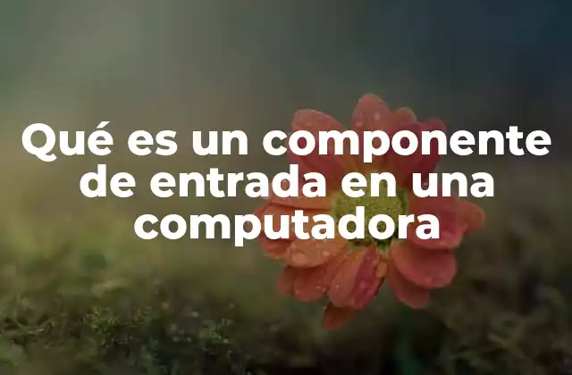 Qué es un Componente de Entrada en una Computadora