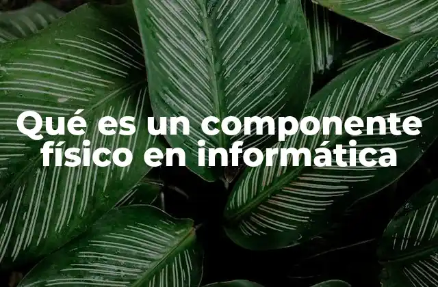 Qué es un Componente Físico en Informática