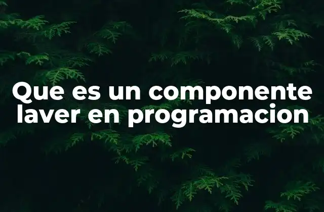 Que es un Componente Laver en Programacion